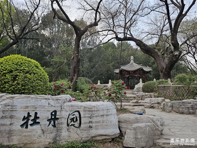 牡丹花開(kāi)時(shí)節(jié)