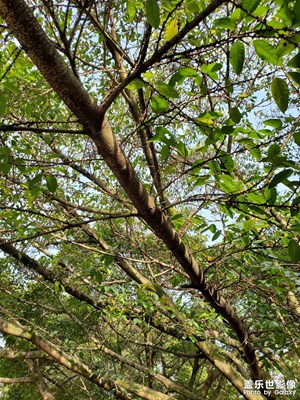 【四月物語】+四月陽光正好