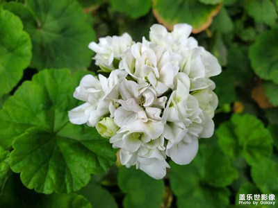 【四月物語】+萬物煥發(fā)