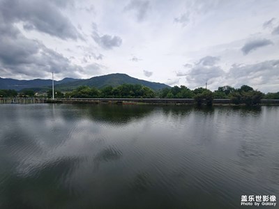 【相約春天】春已滿，夏已來