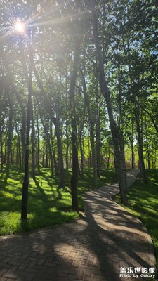 【相約春天】飯后散步