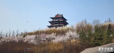 【相約春天】+春滿黃臺山公園