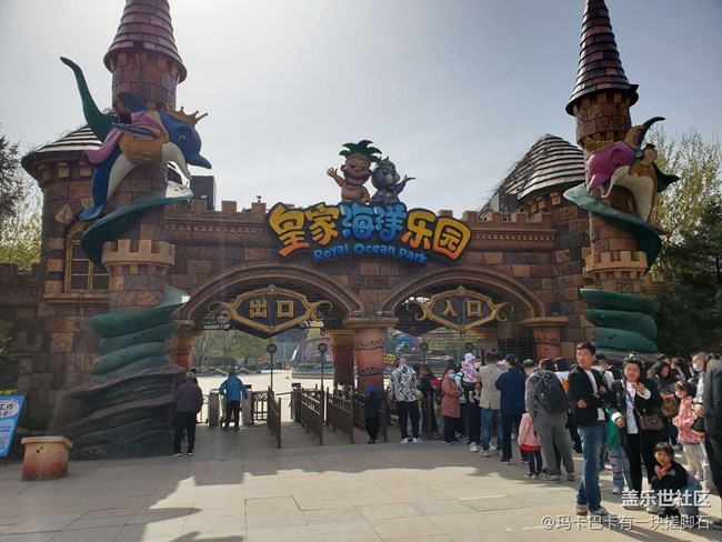 【活動回顧】游海洋樂園&可愛動物攝影