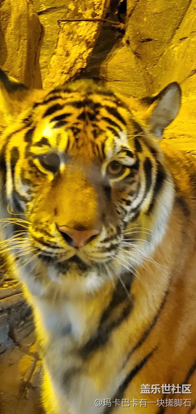 【活動回顧】游海洋樂園&可愛動物攝影