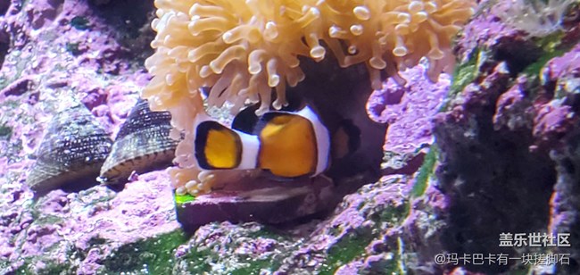 【活動回顧】游海洋樂園&可愛動物攝影