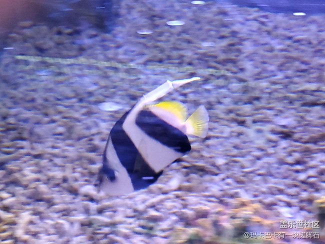 【活動回顧】游海洋樂園&可愛動物攝影