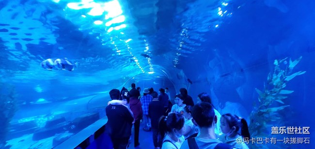 【活動回顧】游海洋樂園&可愛動物攝影