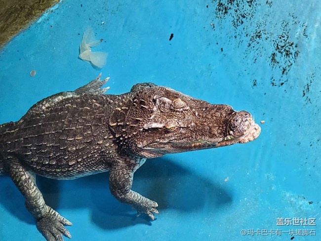 【活動回顧】游海洋樂園&可愛動物攝影