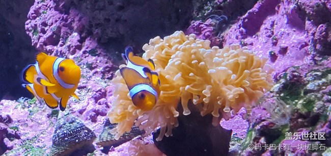 【活動回顧】游海洋樂園&可愛動物攝影