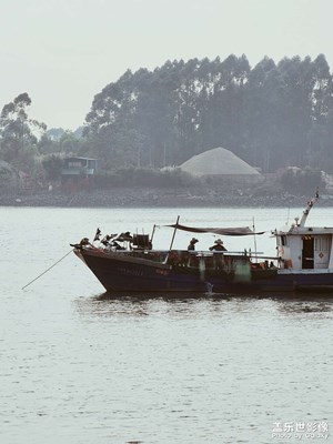 s22u虎門新灣漁港隨拍