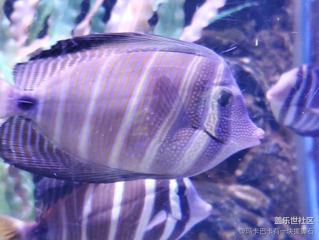 【活動回顧】游海洋樂園&可愛動物攝影