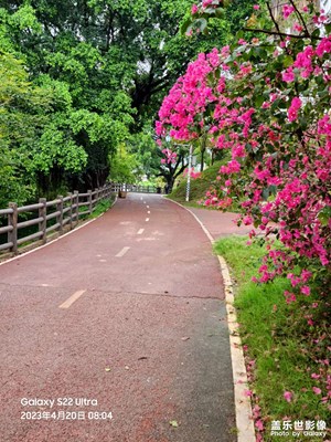 細(xì)雨，閑花