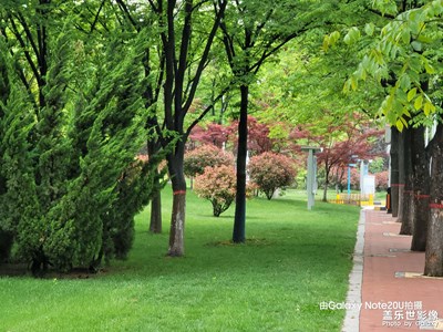 【相約春天】春滿園區(qū)