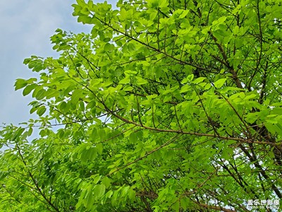 【相約春天】+春日出行