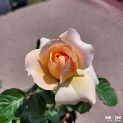 ＃雨過天晴隨手拍