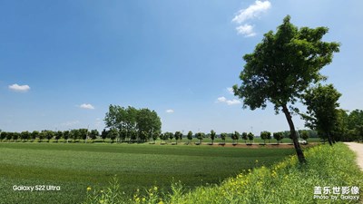 【我的五一】+ 田園游拍