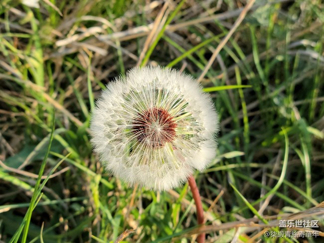 【山野之間】追尋山間的自由