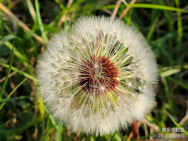 【山野之間】追尋山間的自由