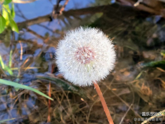 【山野之間】追尋山間的自由