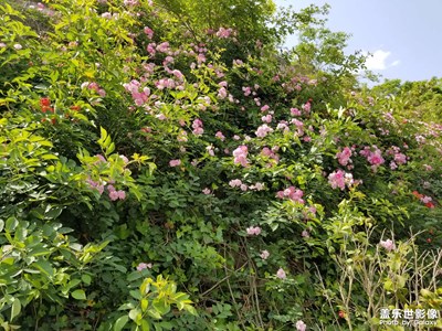 【至生活】陽光上班路