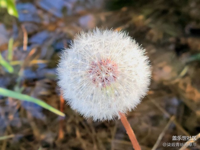 【山野之間】追尋山間的自由