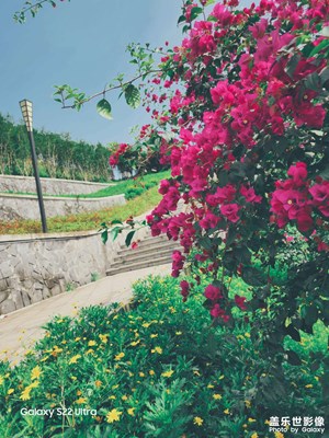 【我的五一】春暖花開(kāi)