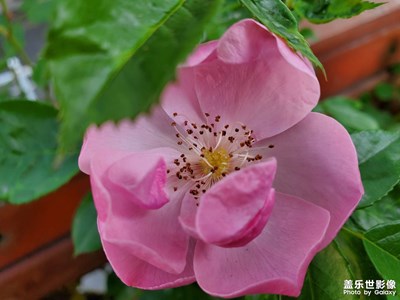 【我的五一】好心情