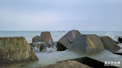 【我的五一】東海岸捕蟹
