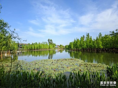 白鷺灣濕地公園