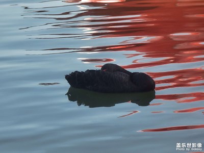 【我的五一】+假期游玩