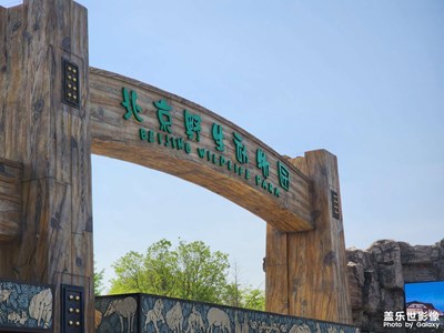 【我的五一】+五一野生動(dòng)物園一日游