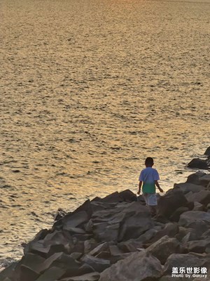 傍晚金色的陽(yáng)光灑在海面