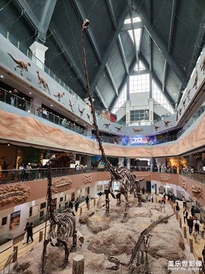 【我的五一】恐龍館一日游