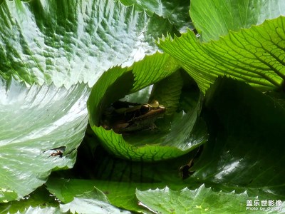 【我的五一】+長焦拍攝