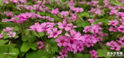 美哉--古都長(zhǎng)安，富足垂美、和諧家園。