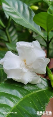 【我的五一】+三星Galaxys21u記錄美麗生活