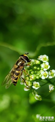 【我的五一】+美景