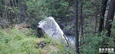 每天一貼！