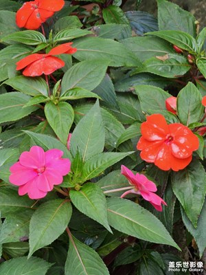 工程師色盲嗎？