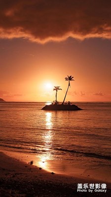 雖然花會(huì)零落，但會(huì)重開