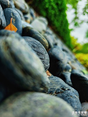 【五一隨拍】雨