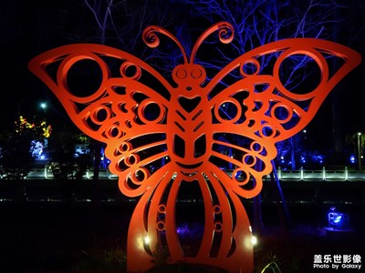 【五一隨拍】+夜游公園