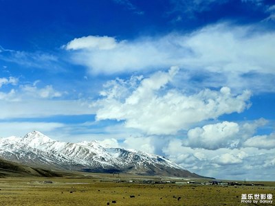 快樂的生活碎片