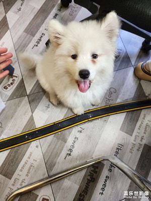 【我的五一】沒有假期的五一