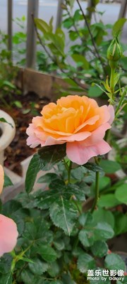 。。。。。