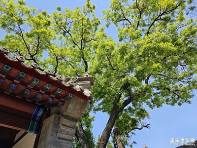 保定蓮花池景區(qū)