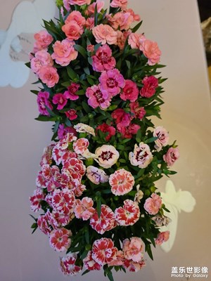 我就隨便那么一拍