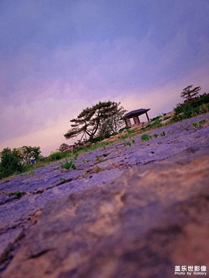 【初夏】+衡湖灣