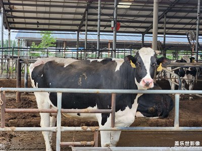 【初夏】+隨手記錄初夏