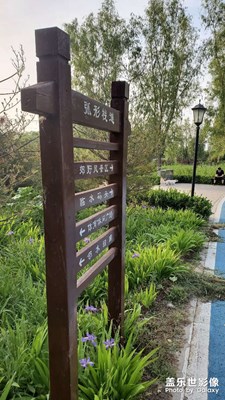 【初夏】公園小遛